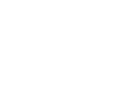 Большевик